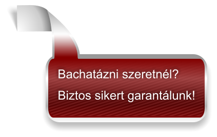 Bachatázni szeretnél?  Biztos sikert garantálunk!
